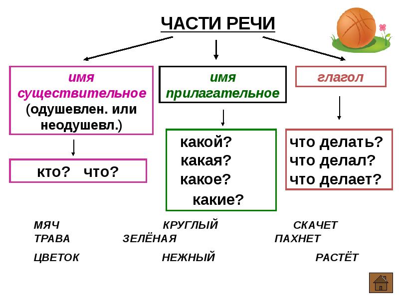 Презентация все правила по русскому языку