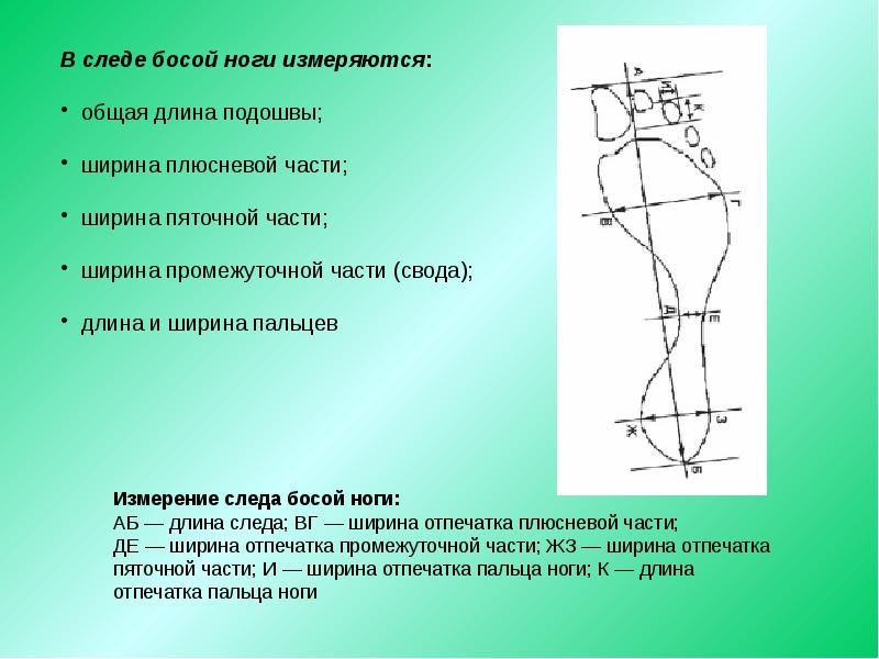 Обозначьте на рисунке элементы подошвенной части обуви и назовите их