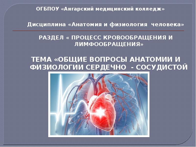 Презентации по анатомии и физиологии человека для медицинского колледжа