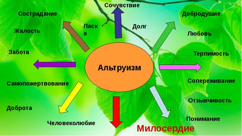 Этичное поведение человека по отношению к природе презентация