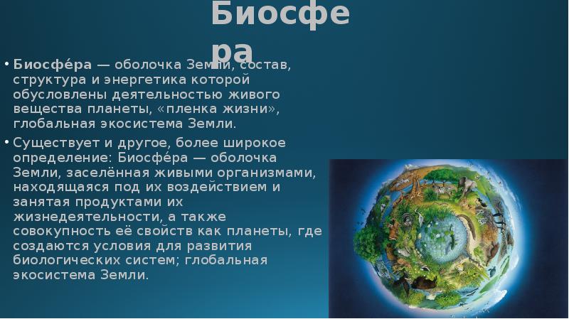 Определение биосфера 6 класс. Биосфера земная оболочка земли. Биосфера – Глобальная экосистема земли.