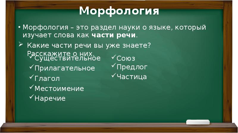 Разделы науки о языке 6 класс презентация