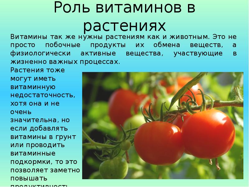 Какие витамины в зале для растений