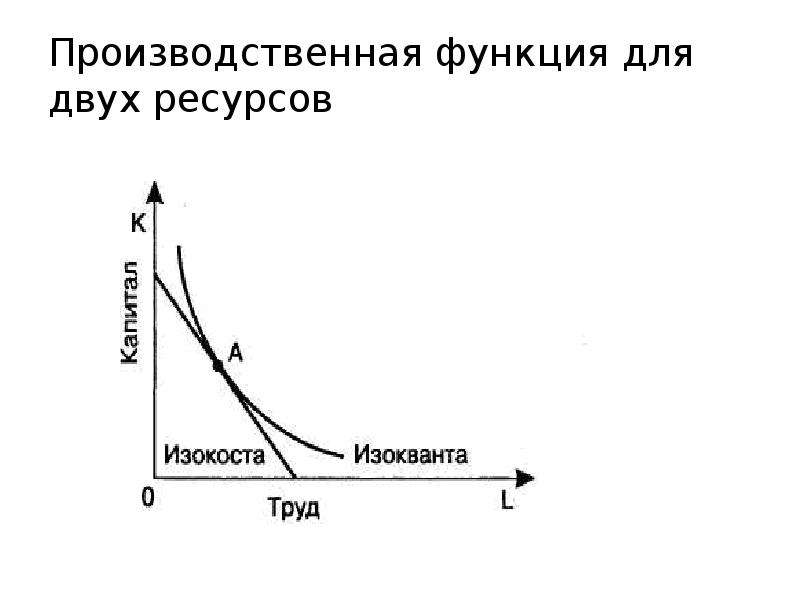 Виды производственных функций. График теории производства.