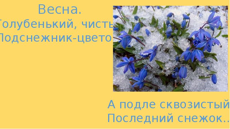 Весна майков подснежники белозеров 1 класс презентация