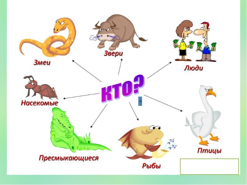 Имя существительное картинки для презентации