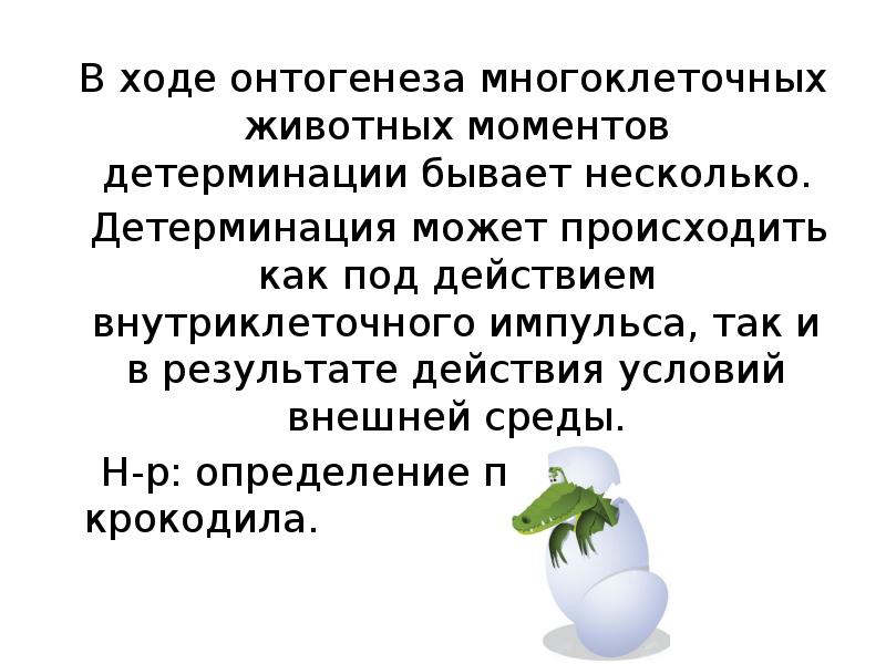 Генетические основы индивидуального развития презентация