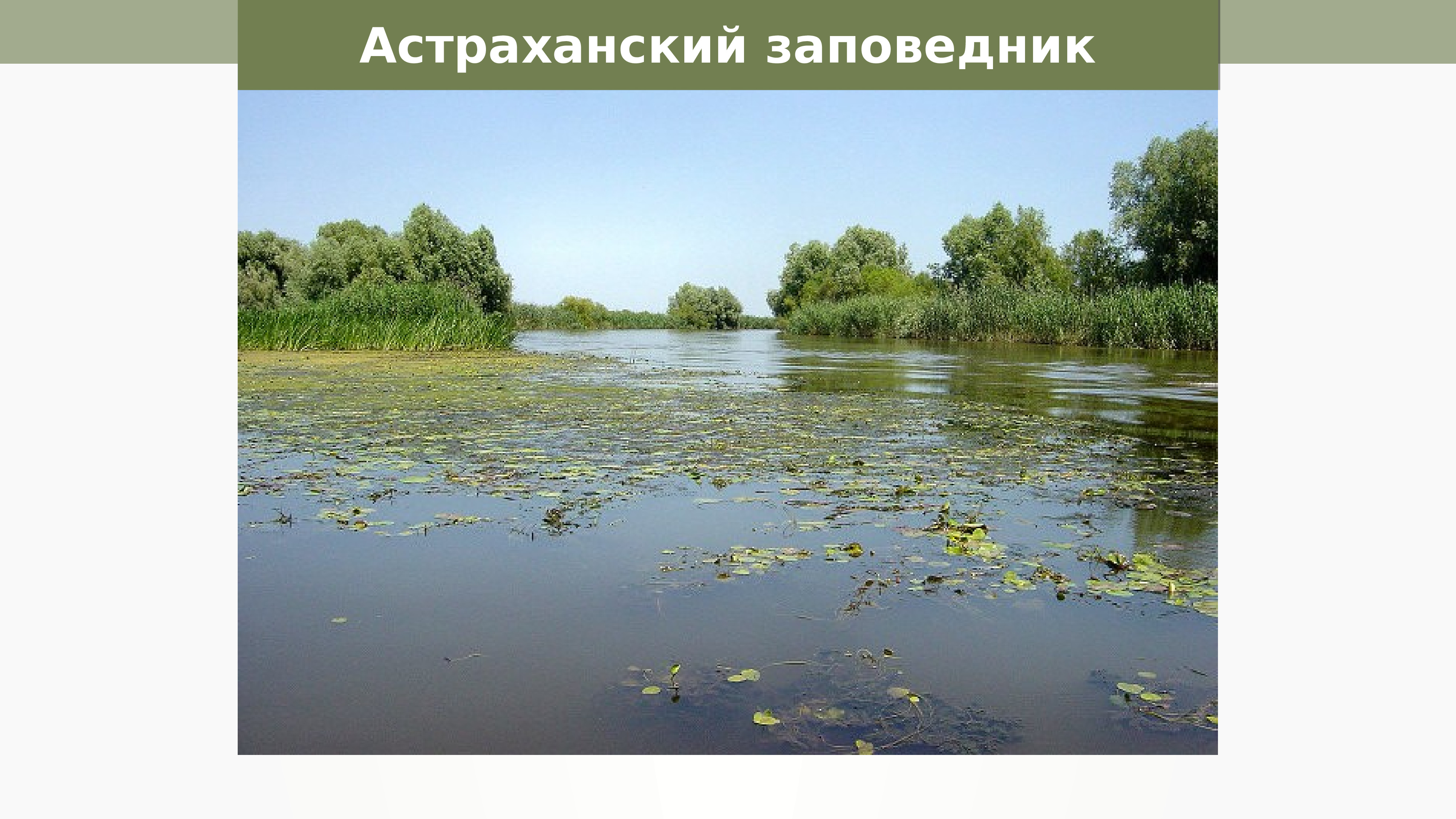 Водоемы Астраханской области