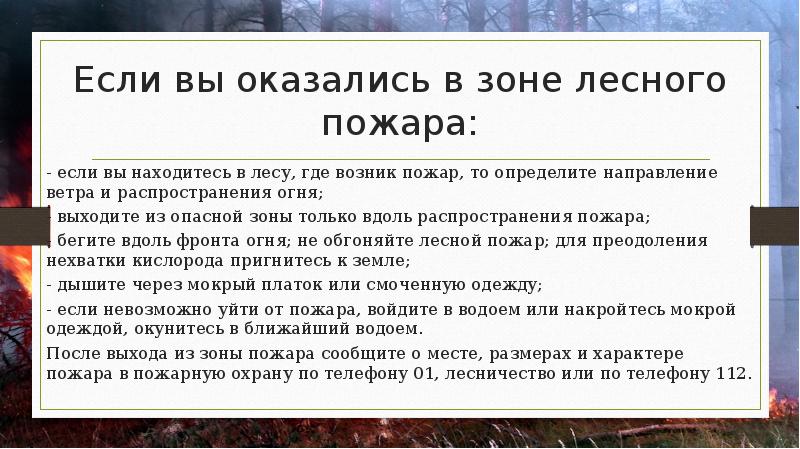 Что делать если оказался в лесном пожаре. Вы оказались в зоне лесного пожара. НМДИ вы оказадись в зоне лесного пожара. Если вы оказались в зоне лесного пожара. Ваши действия если вы оказались в зоне лесного пожара.