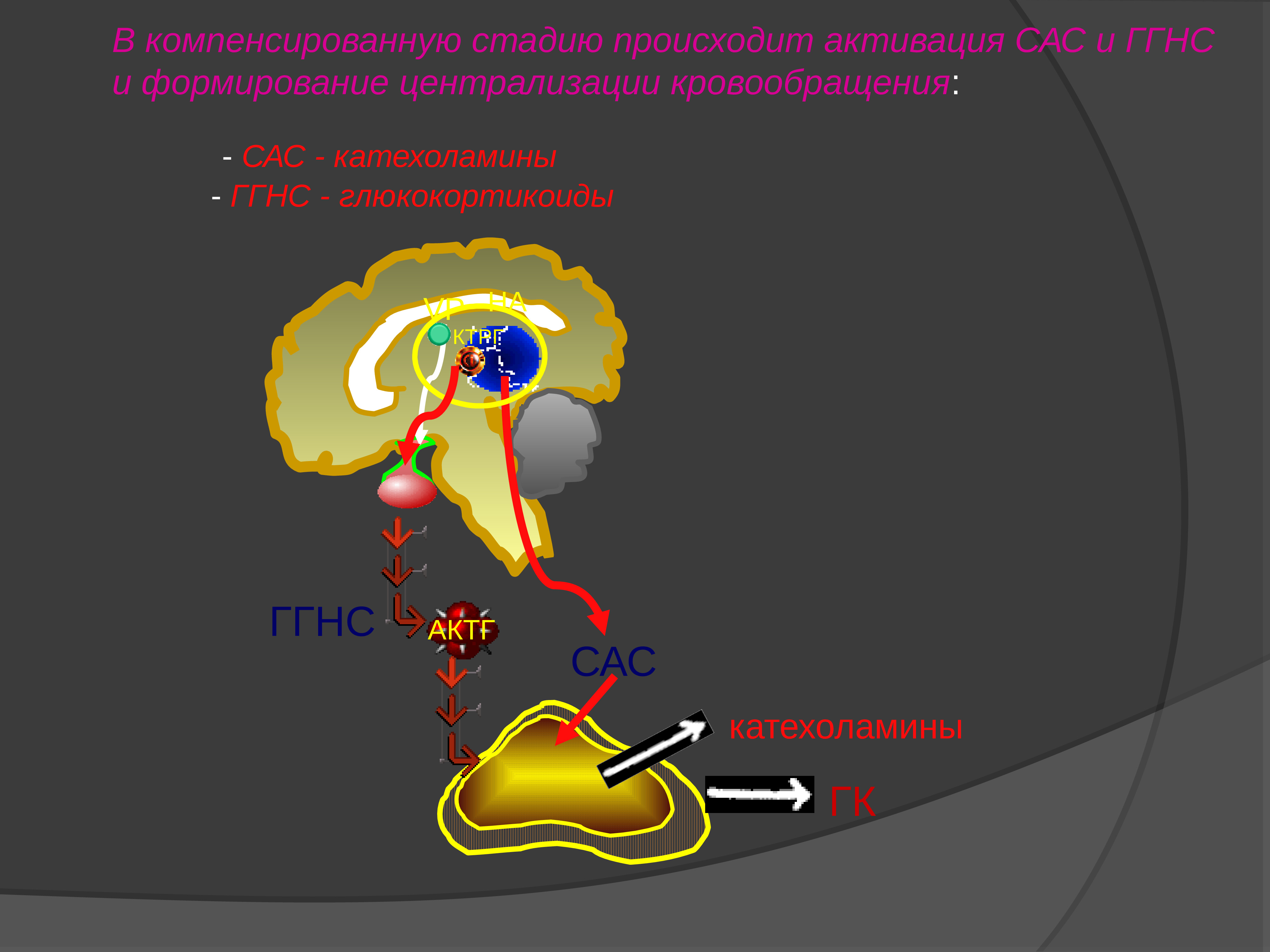 Патофизиология в картинках