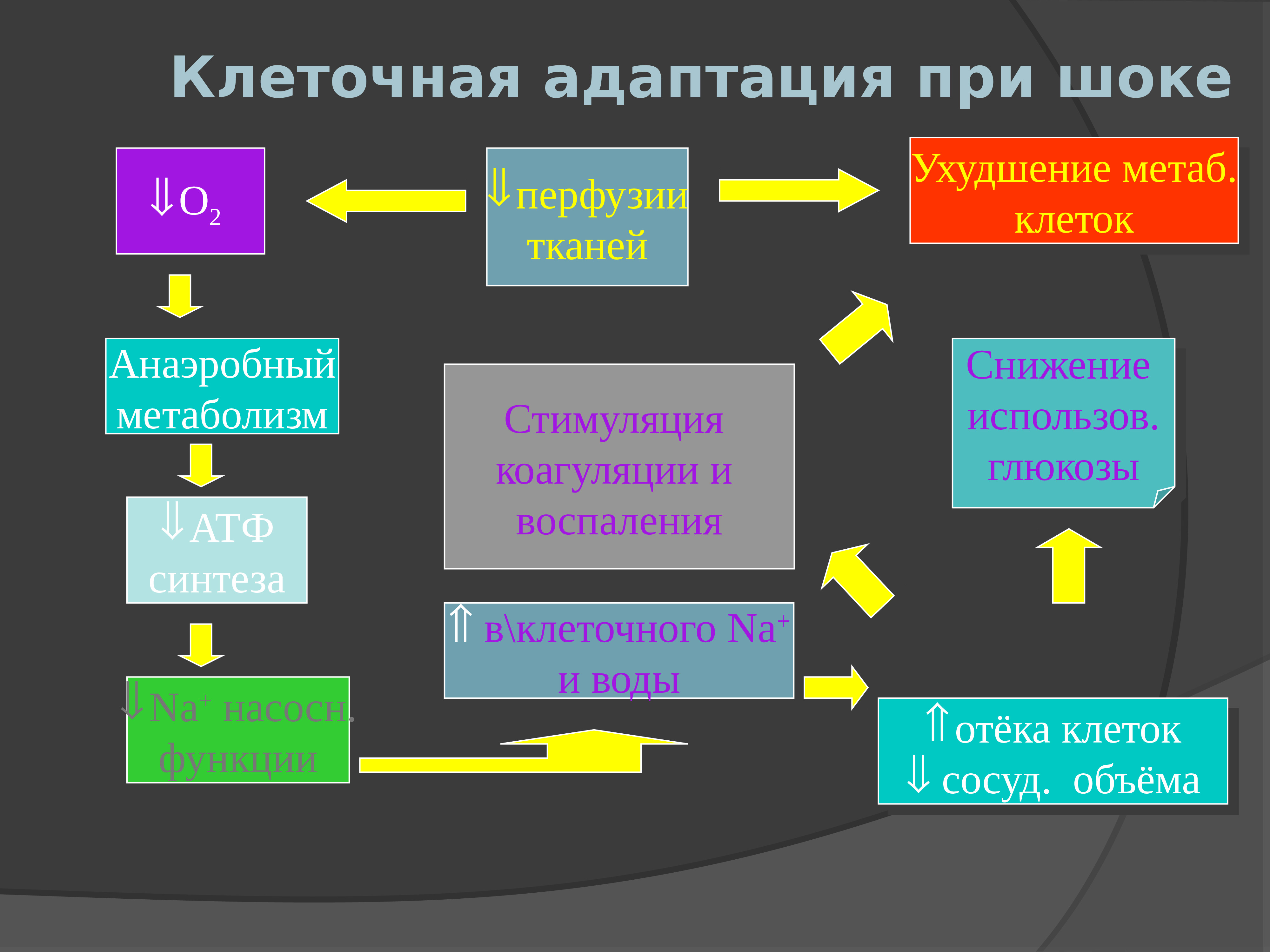 Патофизиология стресса презентация