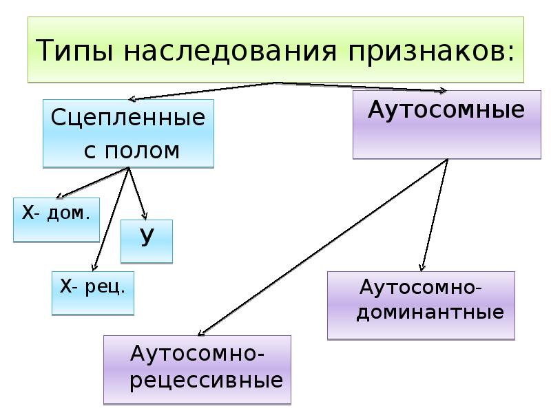 Проект генеалогический метод исследования