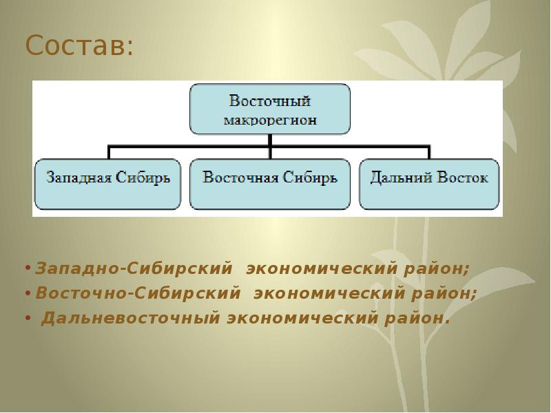 Восточный макрорегион карта