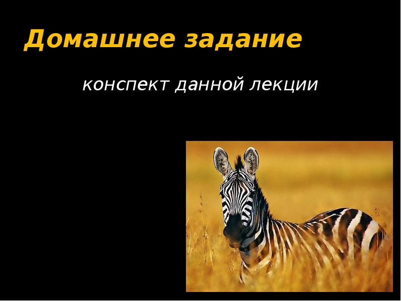 Домашнее задание конспект данной лекции