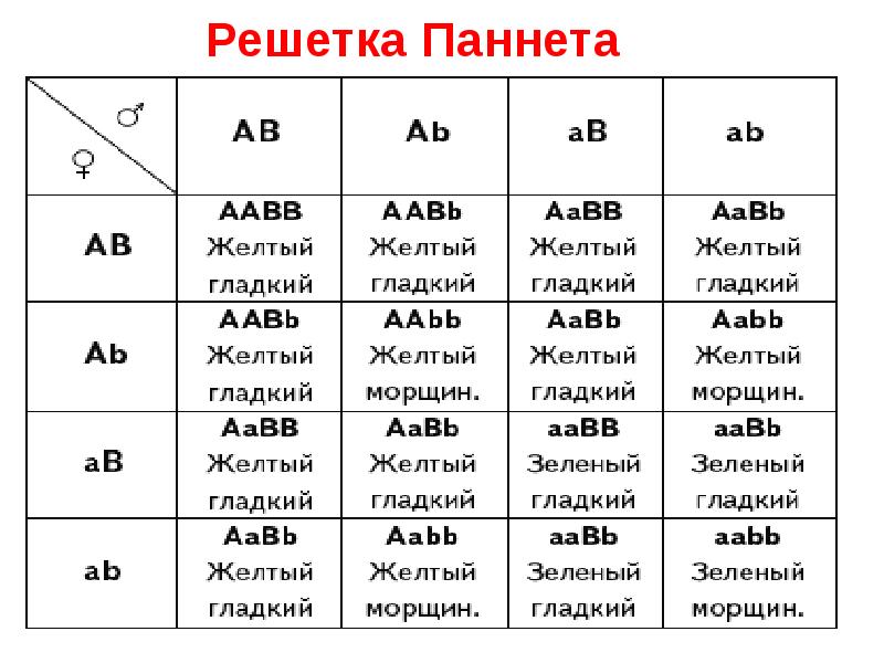 Схема aabb x aabb