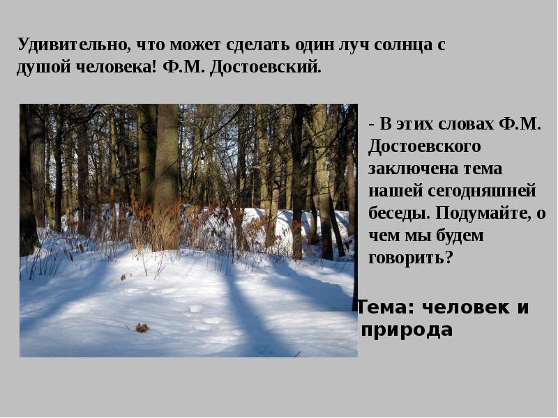 Какую картину описывает а ахматова в стихотворении перед весной бывают дни такие 1 зимний лес