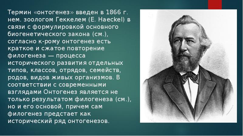 Онтогенез автор. Геккель онтогенез. Термин филогенез ввел. Доклад ряд про учёного зоолога. Сообщение о Геккеле кратко.