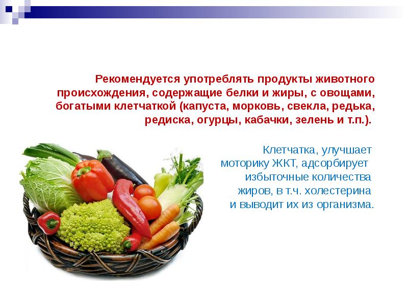 Основы рационального питания влияние пищевых добавок на здоровье человека проект