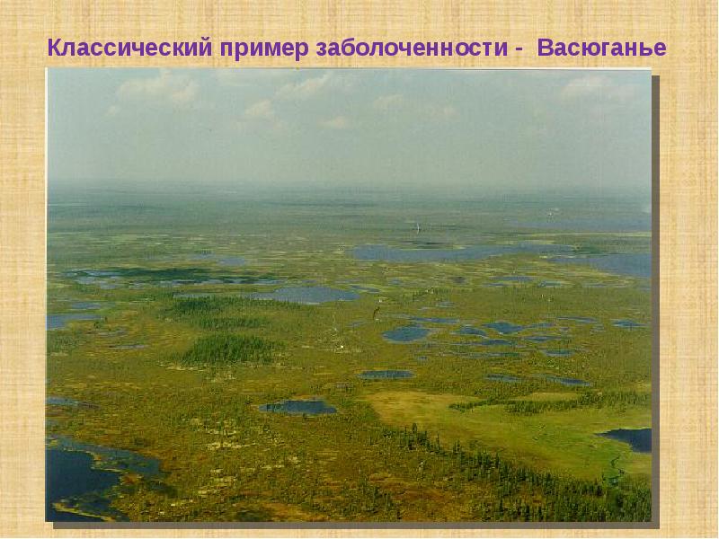 Определите абсолютную высоту западно сибирской равнины. Западно-Сибирская низменность высота. Высота Западно-сибирской равнины. Средняя и максимальная высота Западно сибирской равнины. Западно Сибирская равнина средняя и максимальная высоты равнины.
