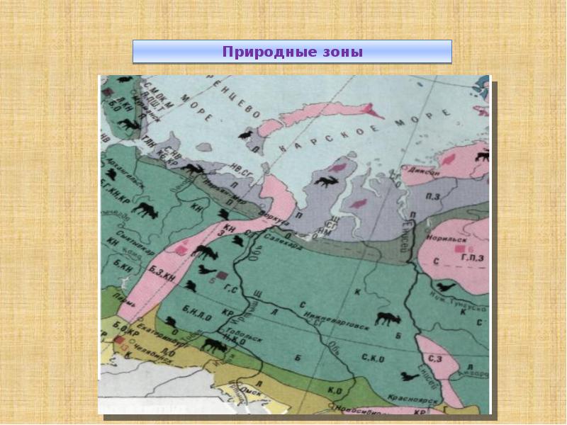 Какая природная зона отсутствует в сибири. Зоны Западно сибирской равнины. Природные зоны Западной Сибири карта. Природные зоны Западно сибирской равнины на карте. Природные зоны Западно сибирской равнины.