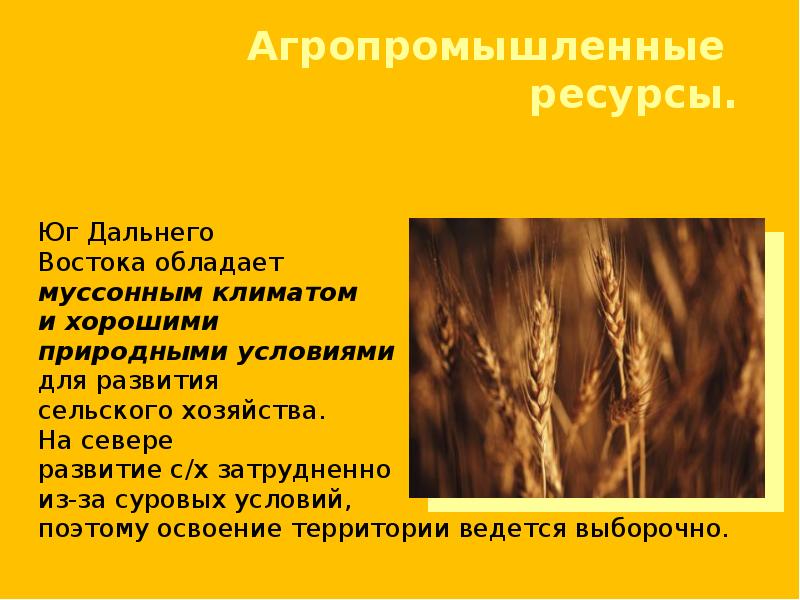 Дальний восток хозяйство презентация 9 класс полярная звезда география