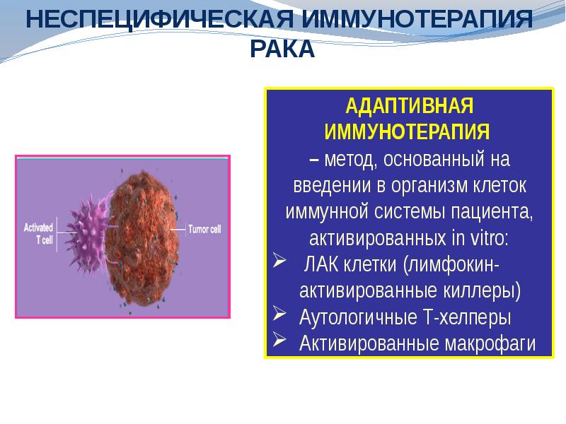 Презентация по опухолям