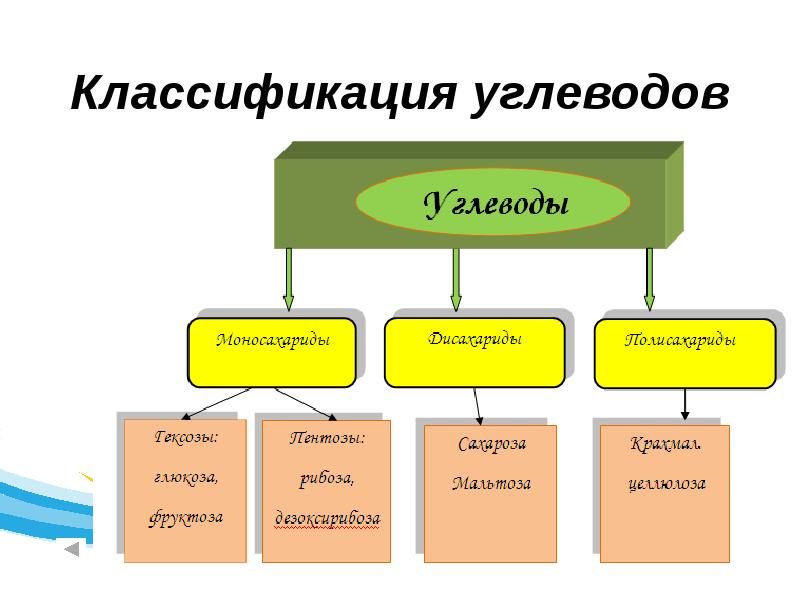 3 типа углеводов