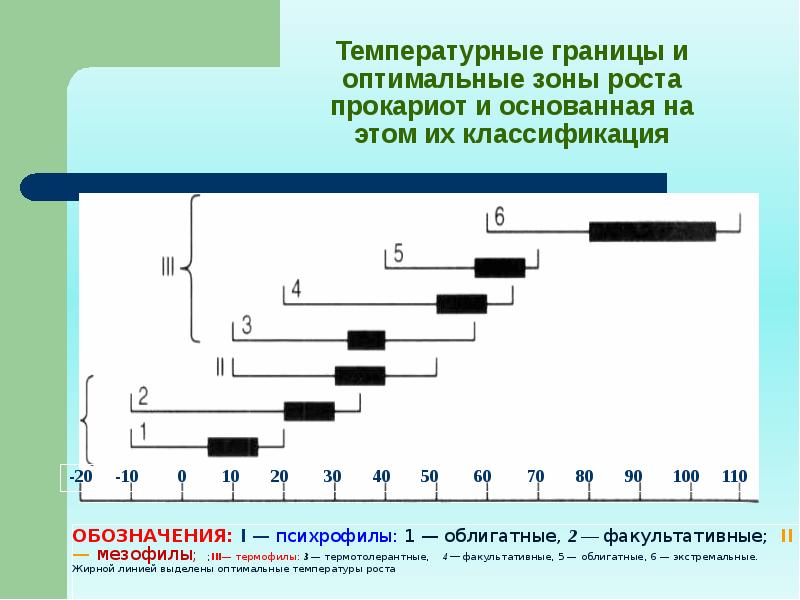 Оптимальная зона. Температурные границы и оптимальные зоны роста прокариот. Температурные границы роста микроорганизмов. Температурные границы роста бактерий. Температурные границы жизни.