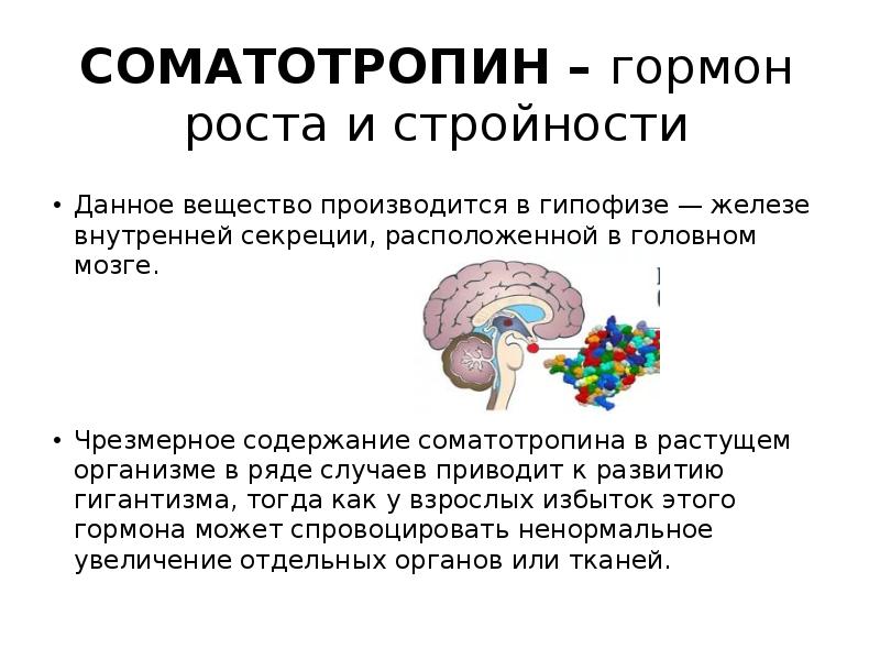 Гормоны жизни проект по биологии 8 класс