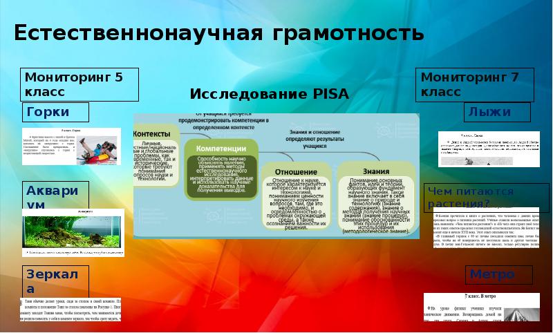 Функциональная грамотность задания