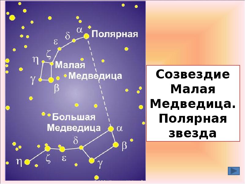 Созвездие малой медведицы какие звезды. Большая и малая Медведица. Малая Медведица и Полярная звезда.