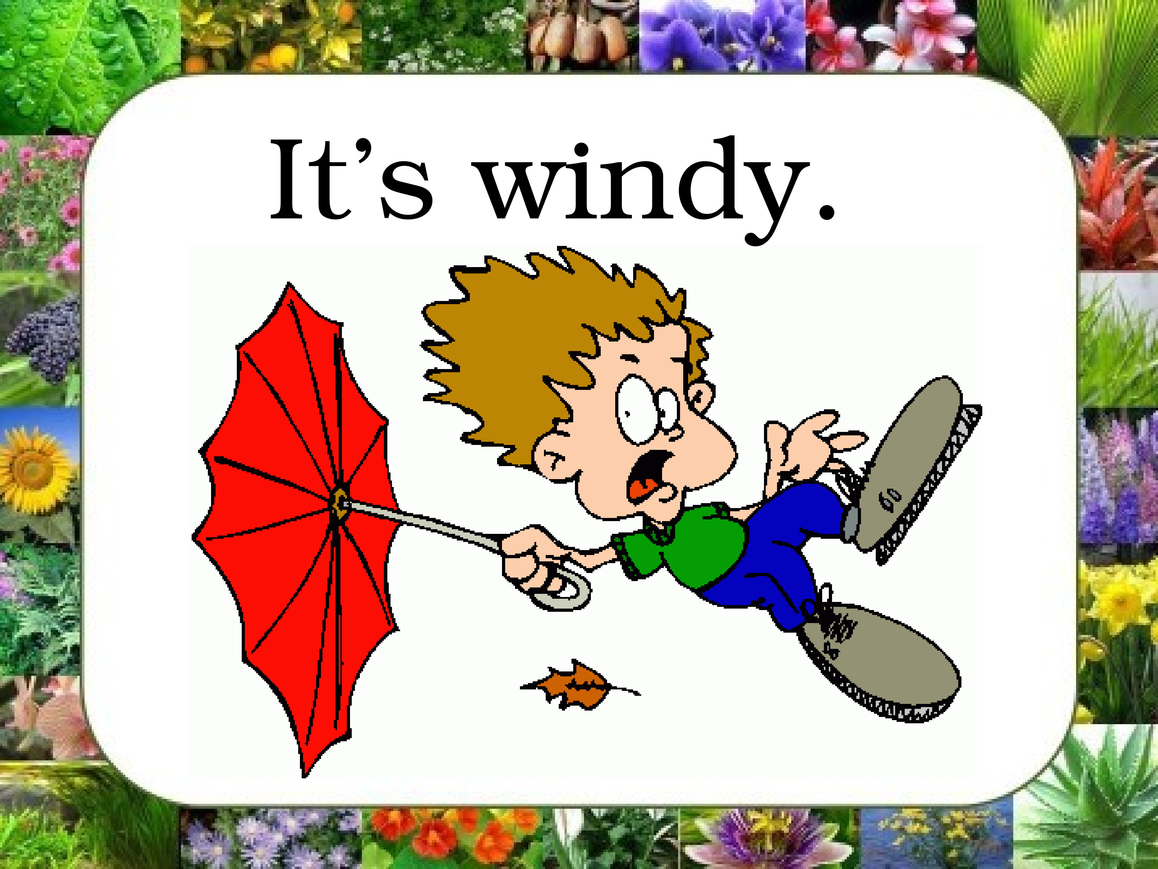 Холодный по английски. It s Windy 2 класс. Спотлайт 2 it's Windy. It s Windy картинка. Spotlight 2 it's Windy презентация.