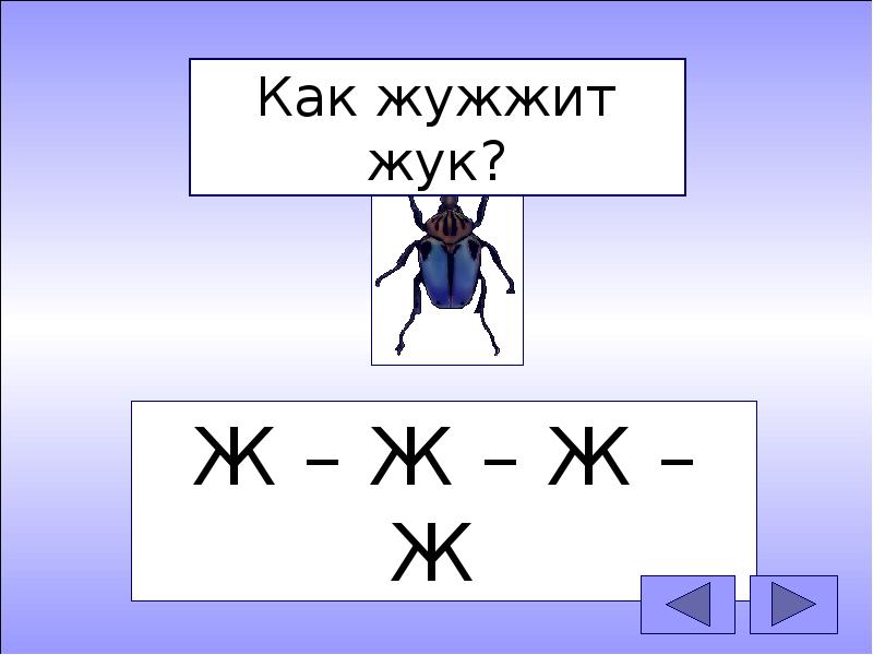 Не жужжу когда сижу. Жук жужжит. Звук ж Жук. Жужжит звук ж. Жук жужжит звук ж.