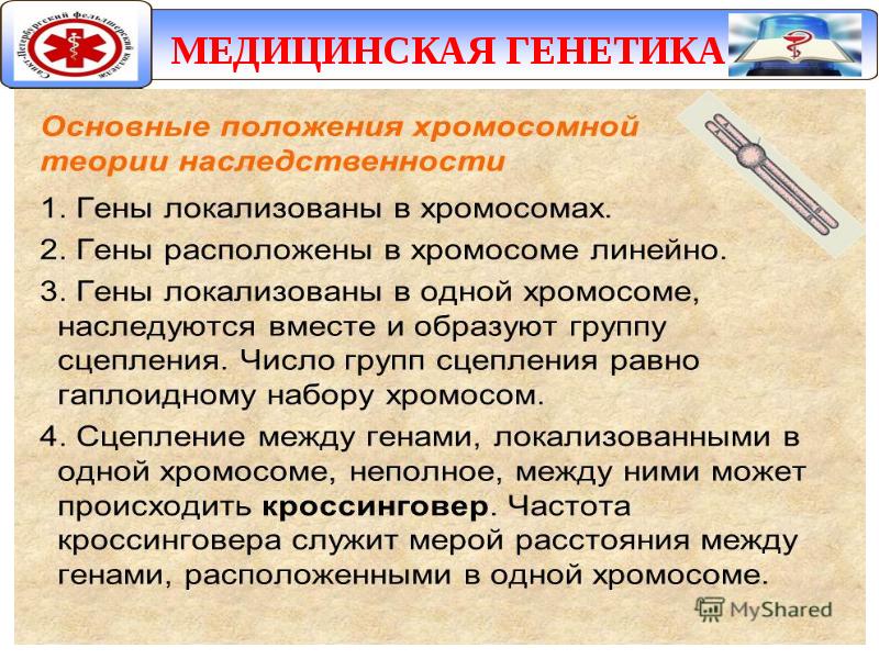 Медицинская генетика