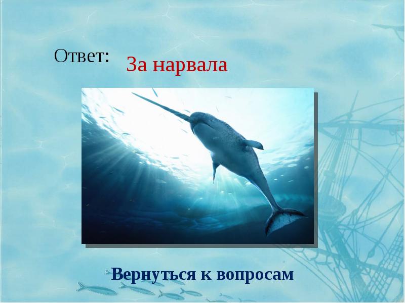 Как пишется лье. Лье это сколько. Чему равен один лье.