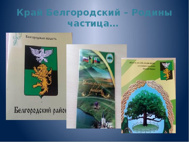 Белгород Край Магазин