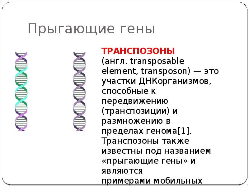 Презентация современные представления о гене и геноме