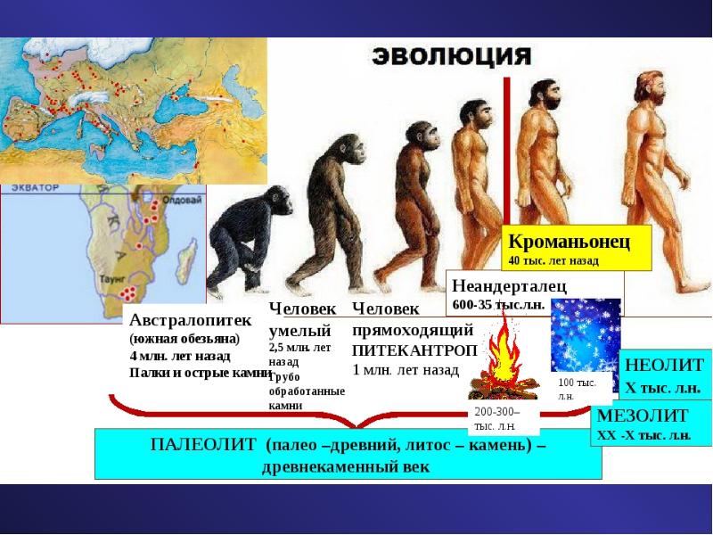 Древний человек презентация