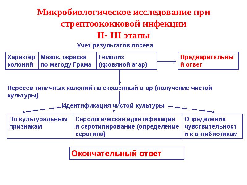 Схема лабораторной диагностики стрептококковой инфекции