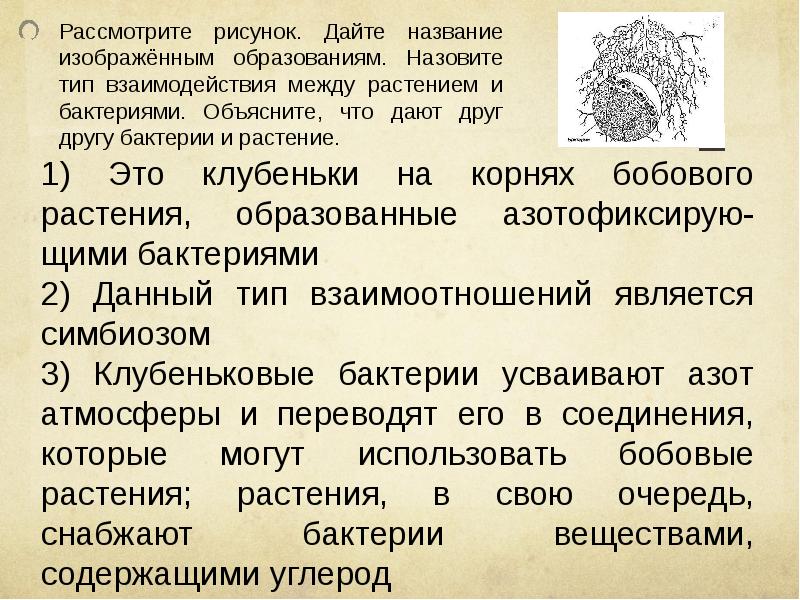 Рассмотрите рисунок дайте название изображенным образованиям назовите тип взаимодействия между двумя