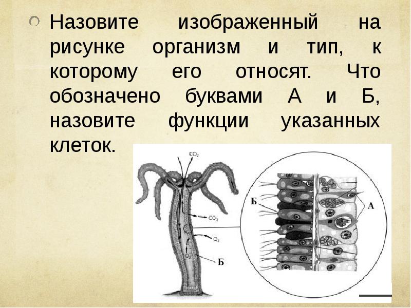 Изображенный на рисунке механизм относится к типу