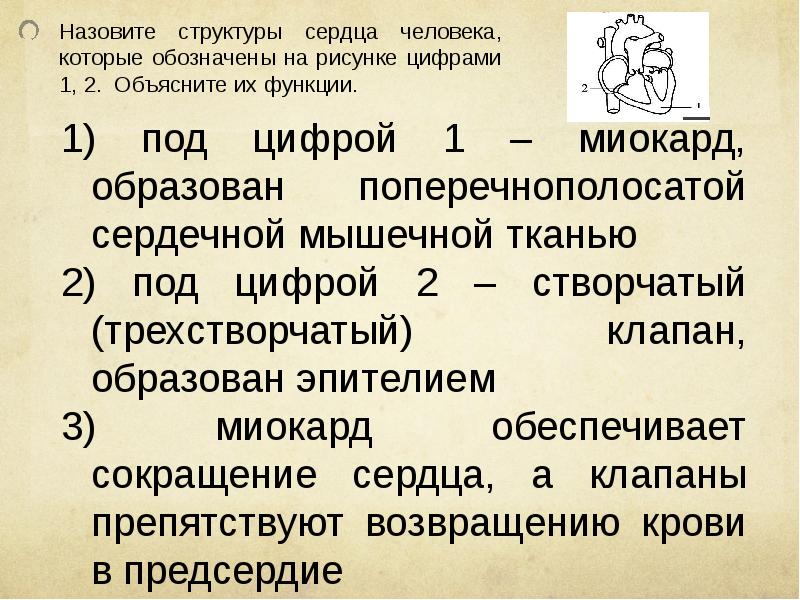 Назовите структуры сердца человека которые обозначены на рисунке 1 и 2 объясните их функции