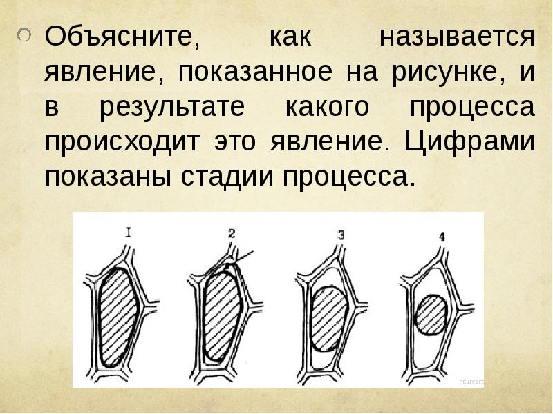 Объясните явление показанное на рисунке как изменится наблюдаемое явление