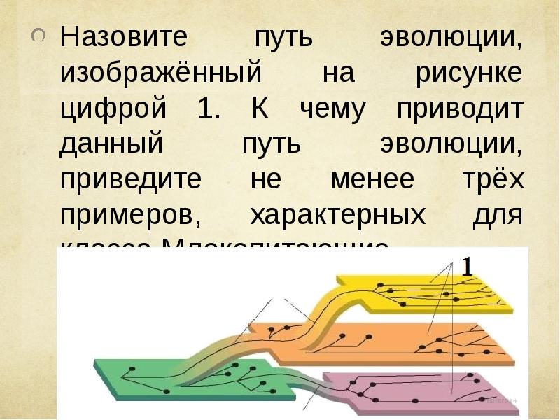 Укажите название пути эволюции которое отмечено на рисунке цифрой 2 введите слово в поле ответа