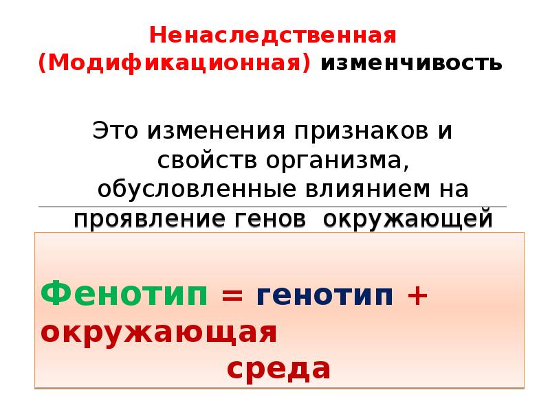 Ненаследственная изменчивость. Характеристика ненаследственной изменчивости.