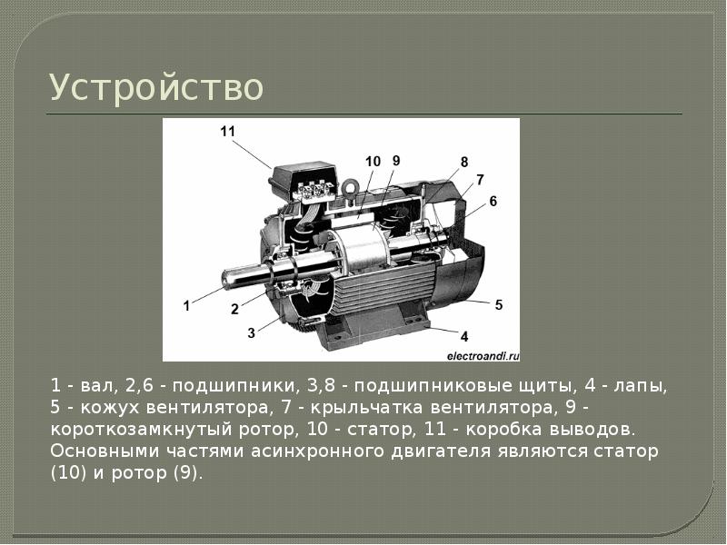 Типы роторов асинхронного двигателя