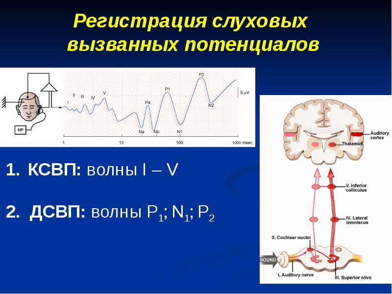 Методы исследования слухового анализатора презентация