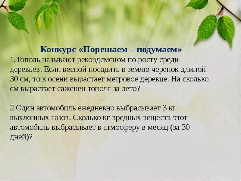 Бамбук краткое описание. Скорость роста бамбука. Один тополь изложение 3. Кто чемпион по скорости роста среди деревьев. Скоростьроста бамюука.
