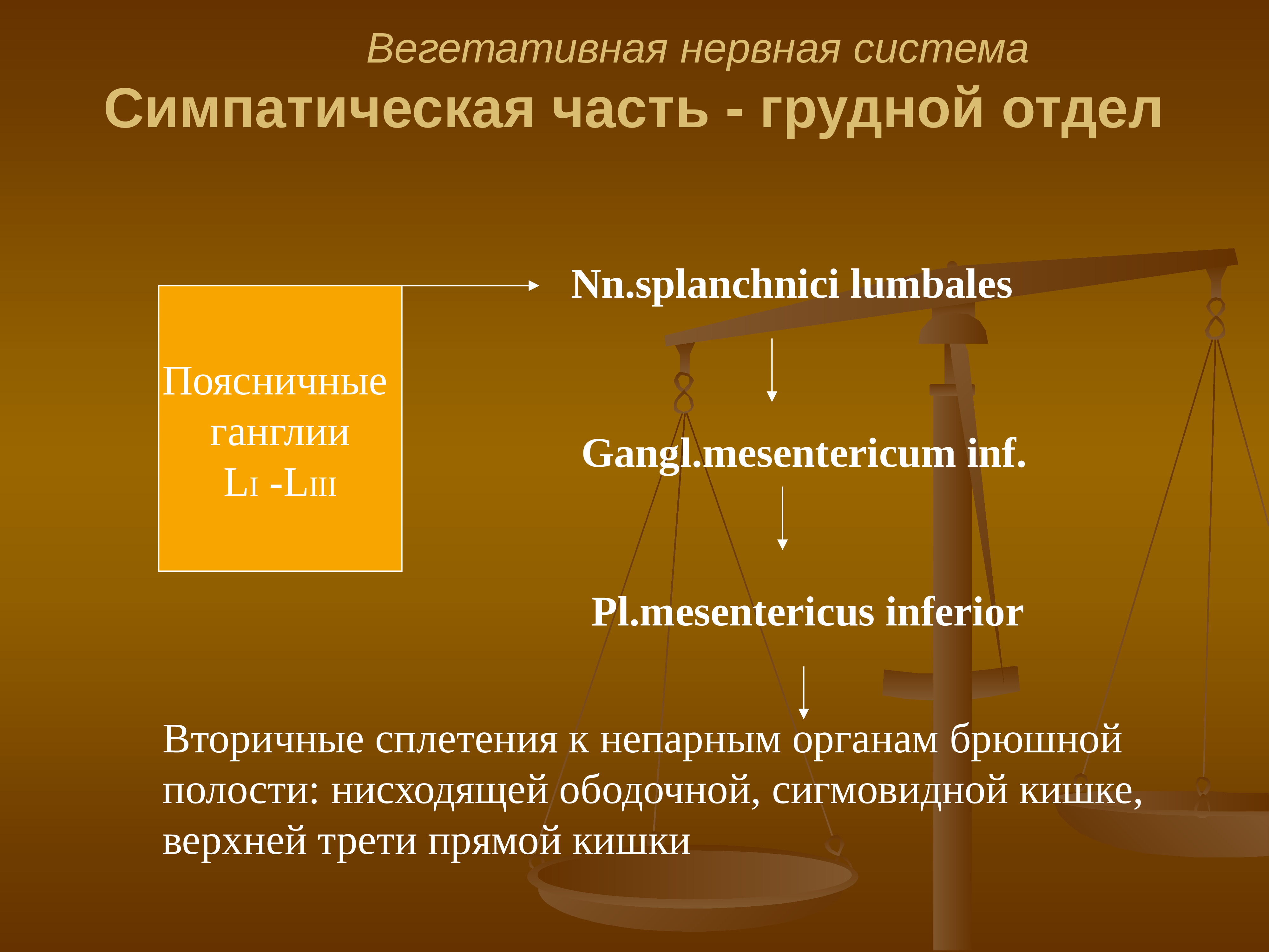 Автономная вегетативная нервная система. Презинтация вегетатианая, Автонои.