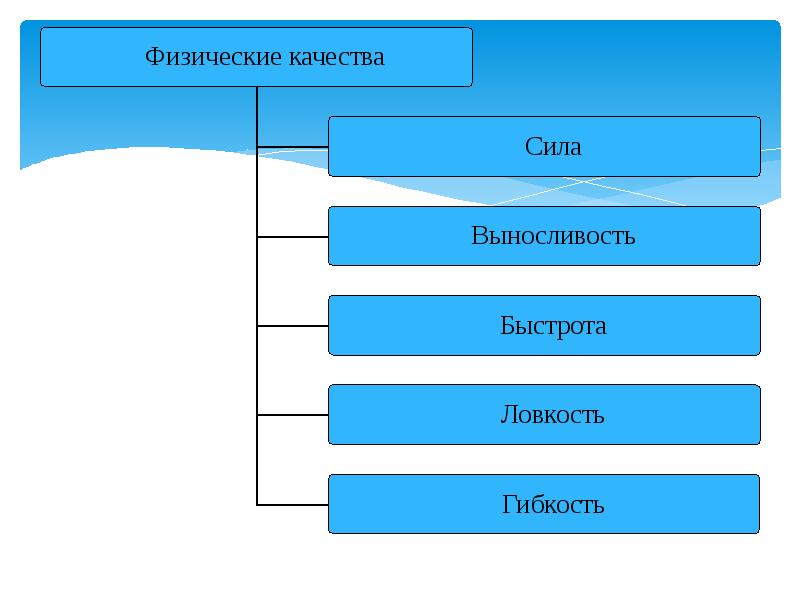 Назовите основные физические качества. Физические качества схема. Физические качества человека примеры. Воспитание физических качеств. Воспитание физических качеств силы.